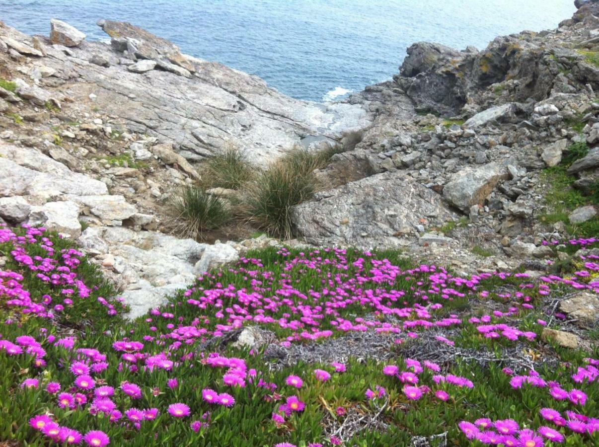 Isola D'Elba Come In Barca, A Un Tuffo Dal Mare Capoliveri  Exterior foto